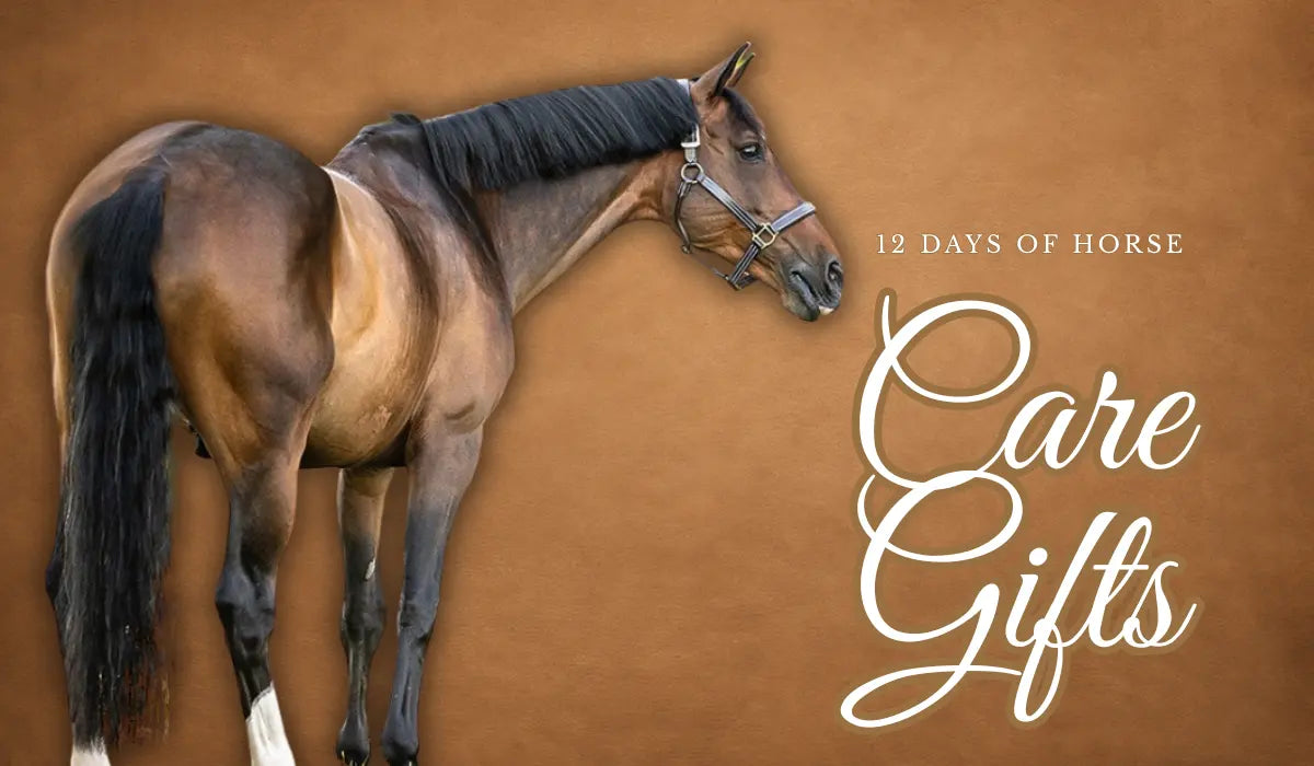 12 Days of Horse Care Gifts